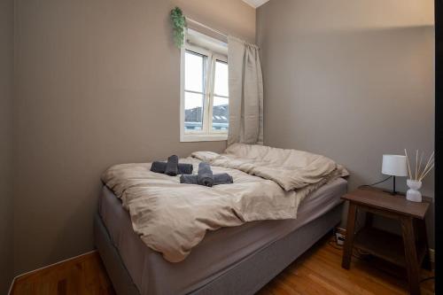 Studio apt in city centre