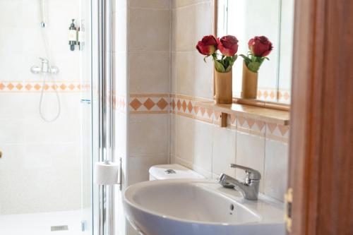 Apartamentos Granata Apartamentos Granata