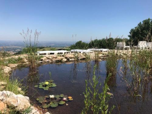 Les Jardins d'ortigia - Confort gîte à louer Dourgne
