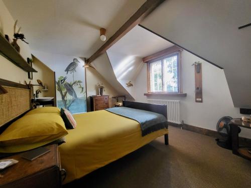 Aviemore Guest House - main image