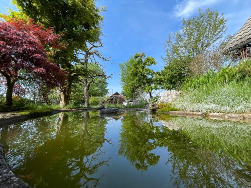 Green Oasis Garden