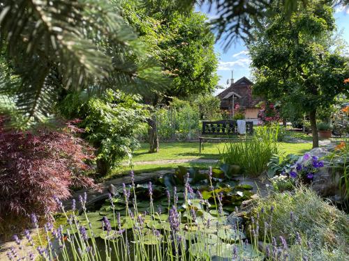 Green Oasis Garden