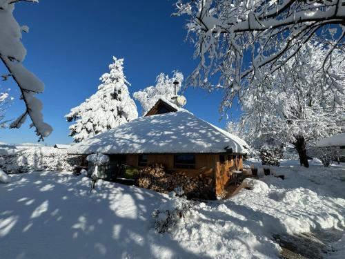 Kilátás, Green Oasis Garden near Ljubljanai repülőtér