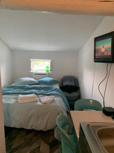 Chez Alam à L'opéra de Lyon Chez Alam à L'opéra de Lyon