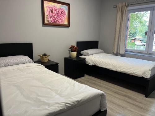 Pension Wolkenheim in Neustadt-Glewe