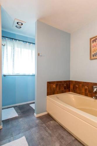 The Flying Whale-MountTabor.