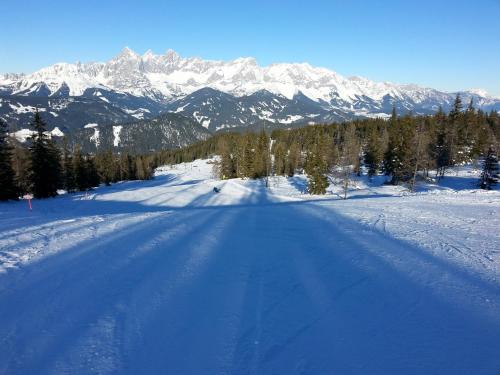 多哈姆公寓 多哈姆公寓