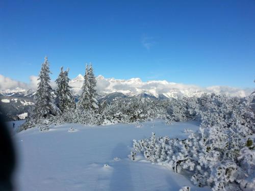 多哈姆公寓 多哈姆公寓