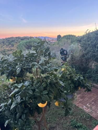 Casa antica Maremma Toscana