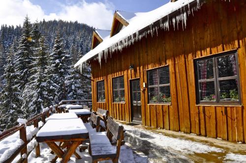 Cabana Stana Tarle - Accommodation - Sinaia