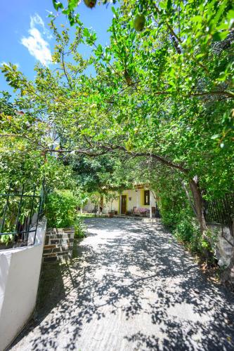 Small Villa Gerani - Accommodation - Agios Vlasios