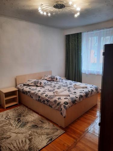 Apartament central - Apartment - Lupeni