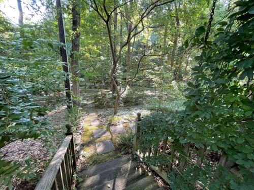 สภาพแวดล้อมโดยรอบ, Mary's Place - Studio surrounded by nature but close to High Point in ไฮน์พอยต์ (NC)