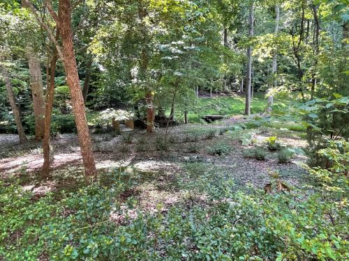 สภาพแวดล้อมโดยรอบ, Mary's Place - Studio surrounded by nature but close to High Point in ไฮน์พอยต์ (NC)