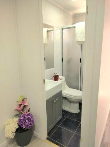 Hostal Vista Valle in อิลลาเปล