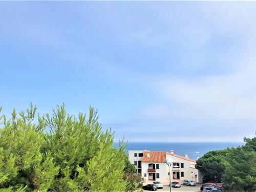 Appartement Banyuls-sur-Mer, 3 pièces, 6 personnes - FR-1-309-279 - Location saisonnière - Banyuls-sur-Mer