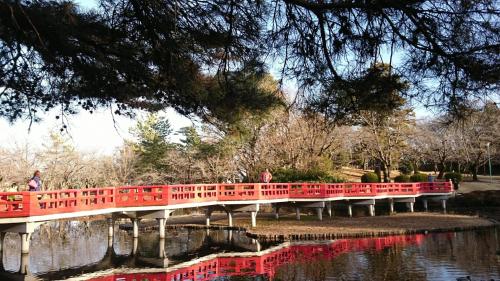 Toyoko Inn Kasukabe-eki Nishi-guchi