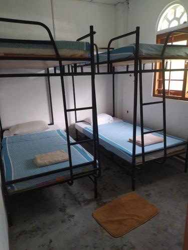 1 bunk bed