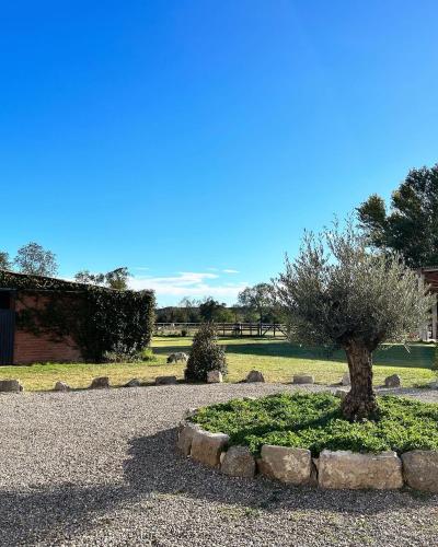  Cal Robusto, Apartament in Masía with horses in Siurana