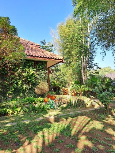 Wonderful Villa Felice Room Type - Villa with Private Pool Wonderful Villa Felice Room Type - Villa with Private Pool