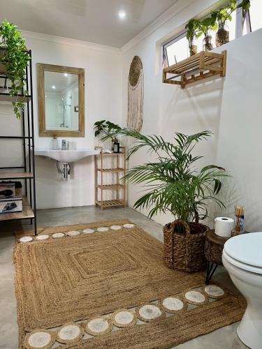 Basic Double Room image 10