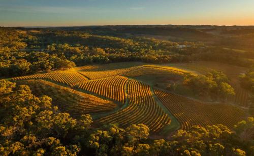 Skillogalee Winery, Restaurant & Accommodation