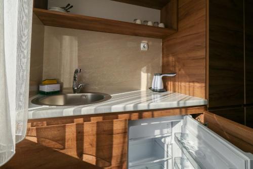 Studio Apartments Maksimovic in นิส