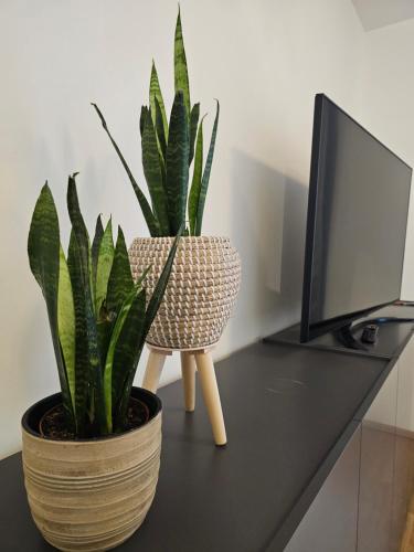HIGH CLASS - Design Apartment - Favorite Place - Full Equipment - Public Transport, Norymberga (zdjęcie 8)