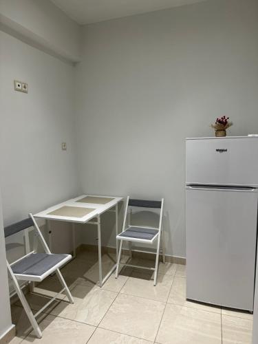 Urban Oasis - image 6