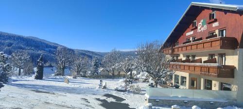 Hotel Les Playes - image 14