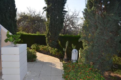 Mia's Cove Mia's Cove