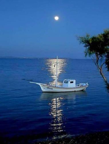 HELLAS PALACE ROOMS balcony