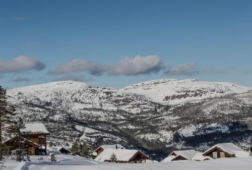 B&B Vrådal - Nybygd funkishytte med badstue og jacuzzi, golf, slalom - Bed and Breakfast Vrådal