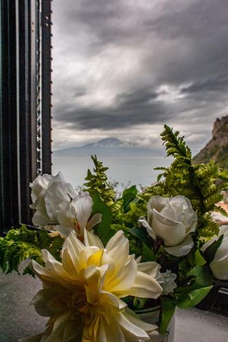 马尔吉别墅 马尔吉别墅