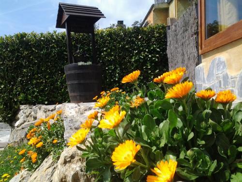 Apartamentos Els Ocells - image 10