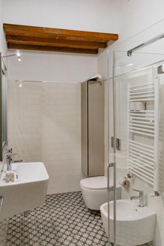 Big apartment near Piazza Santo Spirito - image 6