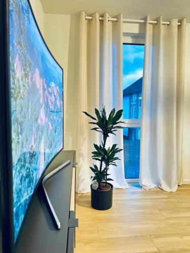 AMAO-Grey I 86qm I KingSizeBetten I Netflix I Balkon I Parkplatz I EuropaPark