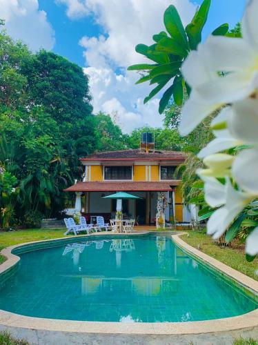 The Island Pool Villa in Divar