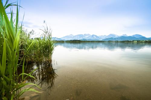 Hotel am Hopfensee