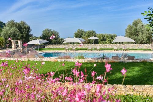 Masseria Morrone - image 2