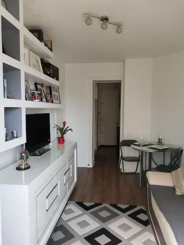 Ivry-sur-seine, à 2 mn de Paris beau 2 pièces 30m2 - Location saisonnière - Ivry-sur-Seine