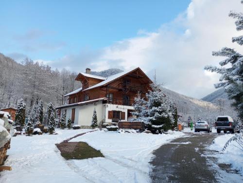Gasthaus Maria in Turnu Ruieni