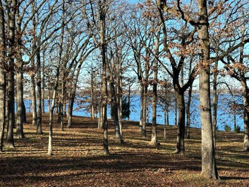 Lakeside Retreat in Quitman, USA