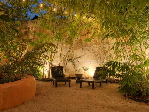 CASA FRIDA by DW - image 3