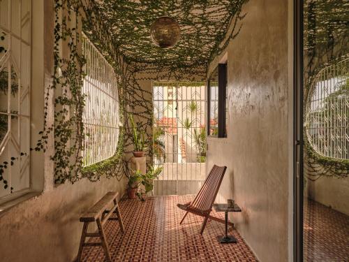 CASA FRIDA by DW - image 9