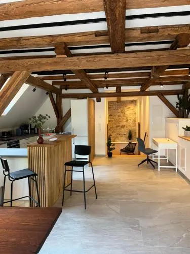 Neu - Wenkheimer Hof Scheunen-Loft in Iphofen, Deutschland