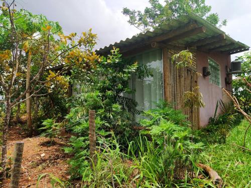 Chalé aconchegante, pertinho da cidade e conectada a natureza