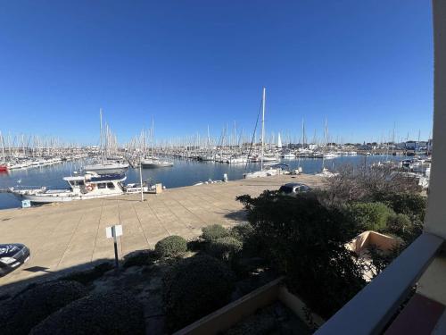 Appartement Port Leucate, 2 pièces, 4 personnes - FR-1-81-607 - Location saisonnière - Leucate