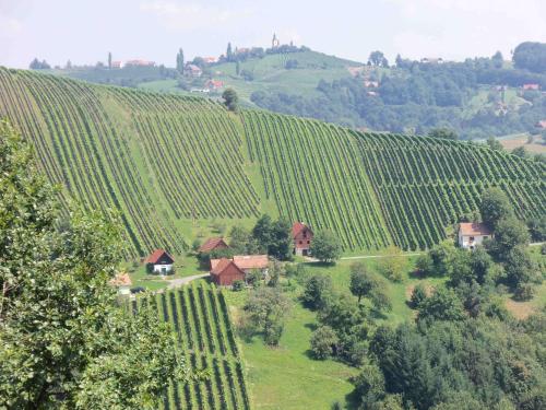 Obstbau und Gästezimmer Stani