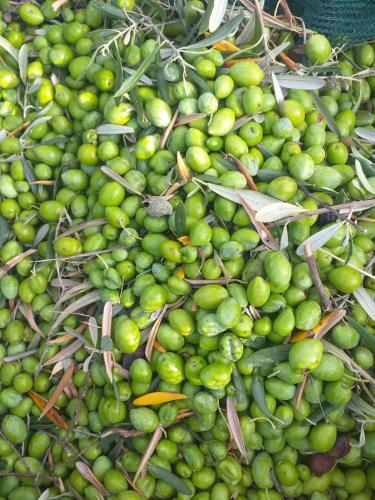 HELLAS PALACE ROOMS balcony